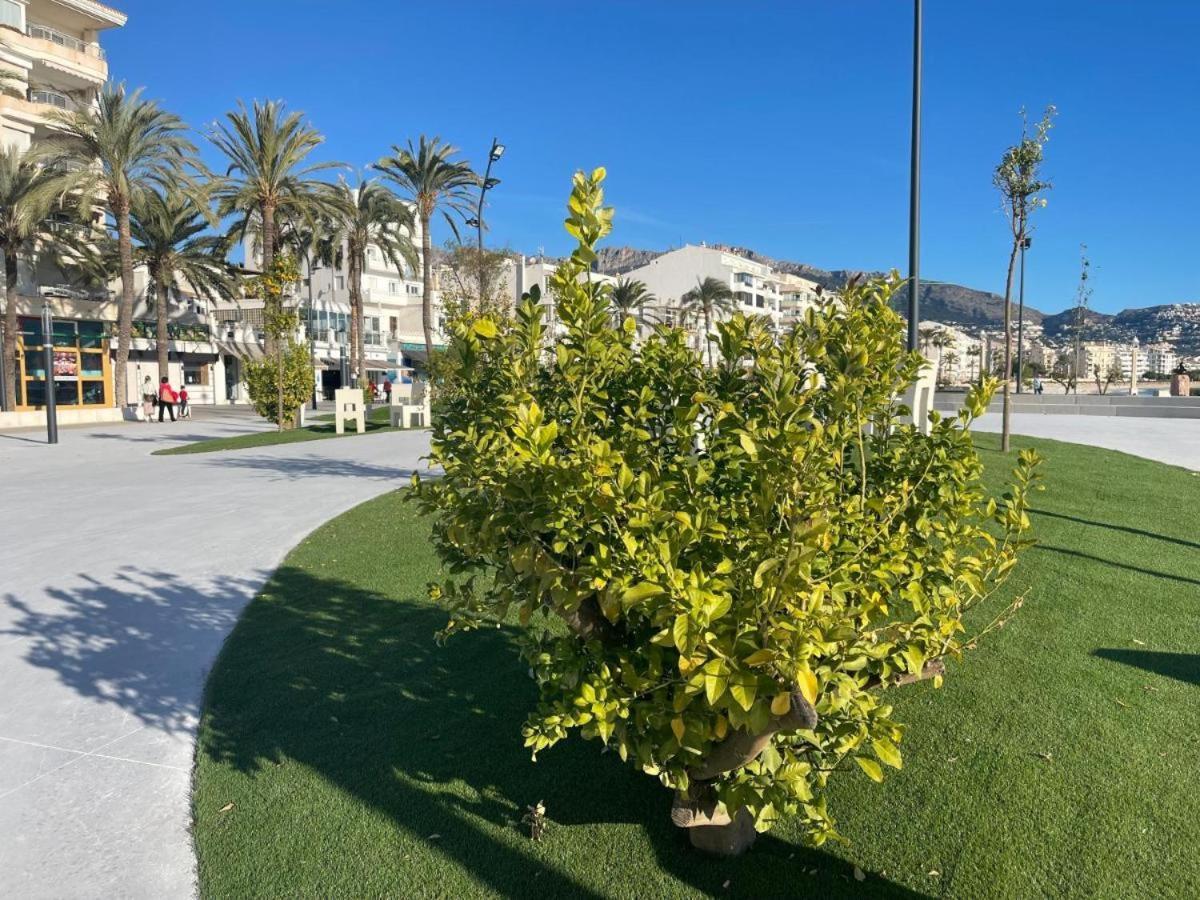 Апартаменти Altea Group Experience Екстер'єр фото